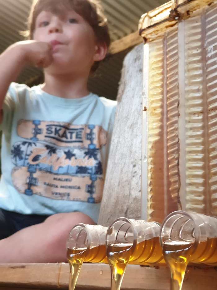 D4771C30-7DD6-4597-A5B8-33E5642399BF